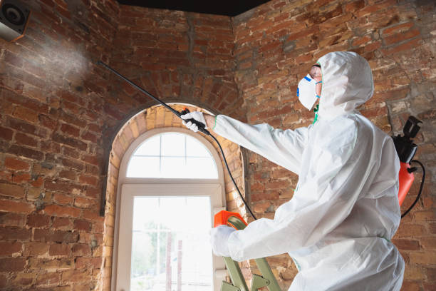 Best Mold Remediation for Healthcare Facilities in Lincoln, NE